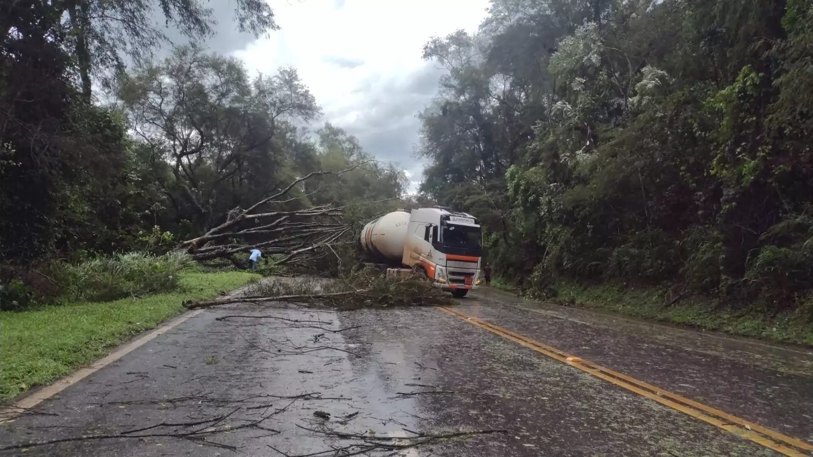 Galhos de árvore caem, carreta é atingida e BR-040 apresenta lentidão